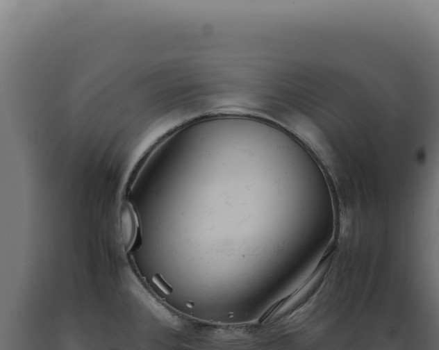 X0000089971384200707061151