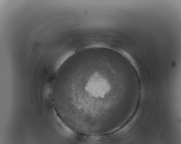 X0000089971385200707061151