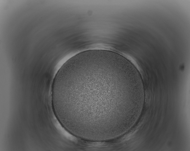 X0000089971387200707061151