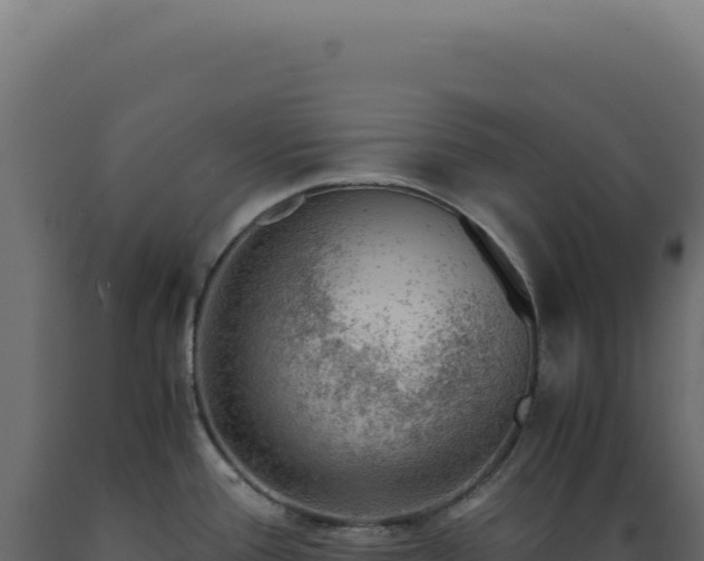 X0000089971388200707061151