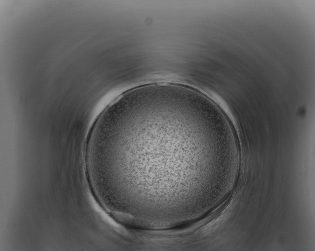 X0000089971389200707061151