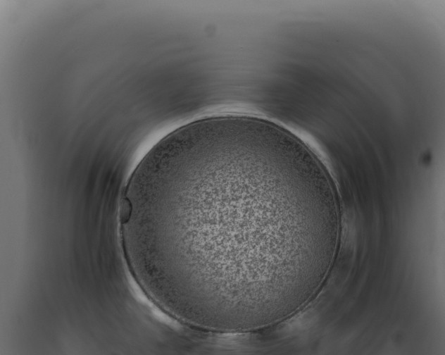X0000089971390200707061151