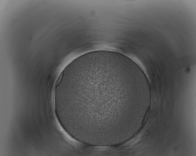 X0000089971391200707061151