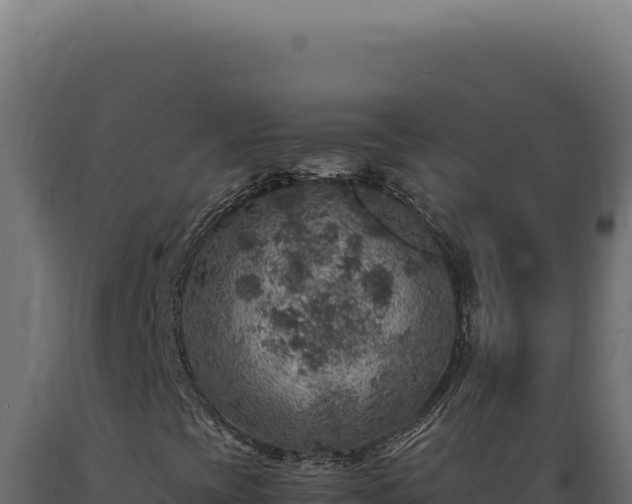 X0000089971393200707061150