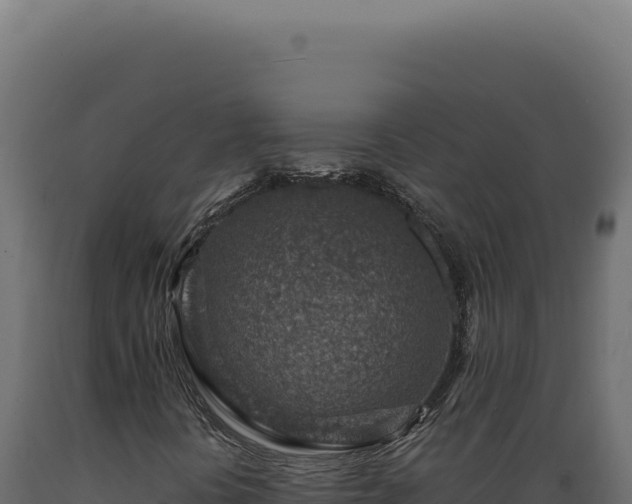X0000089971394200707061150