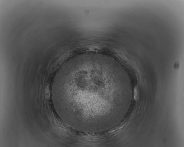 X0000089971395200707061150