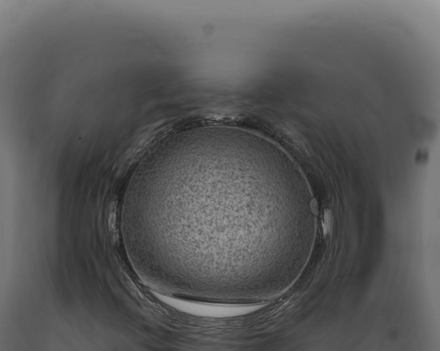 X0000089971396200707061150