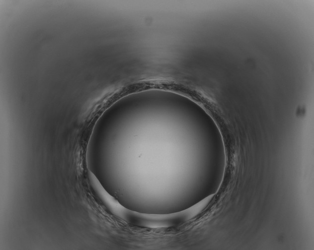 X0000089971398200707061151