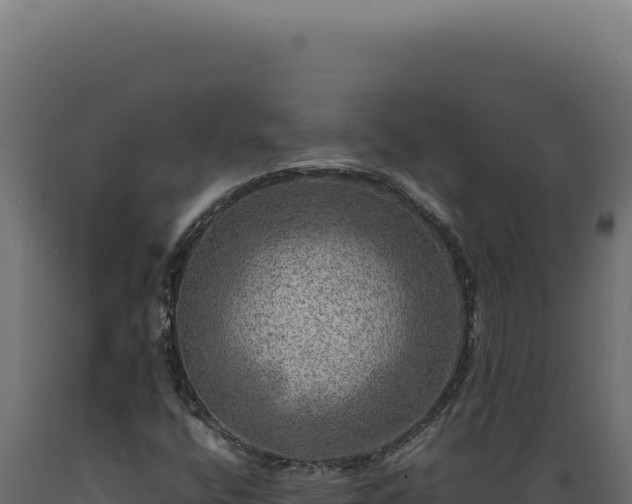 X0000089971400200707061151