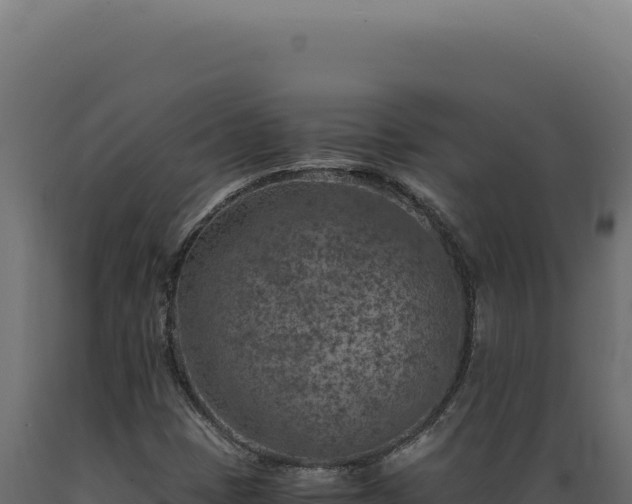 X0000089971401200707061151