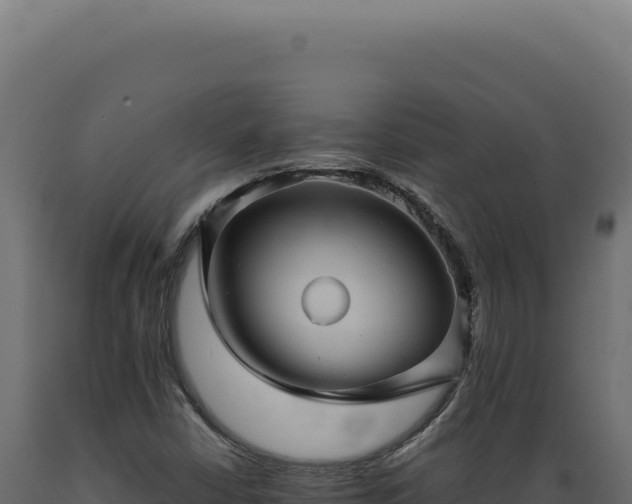 X0000089971402200707061151