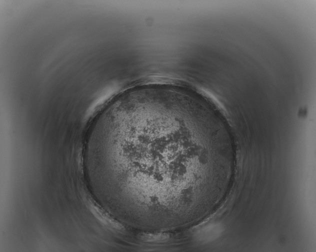 X0000089971403200707061151