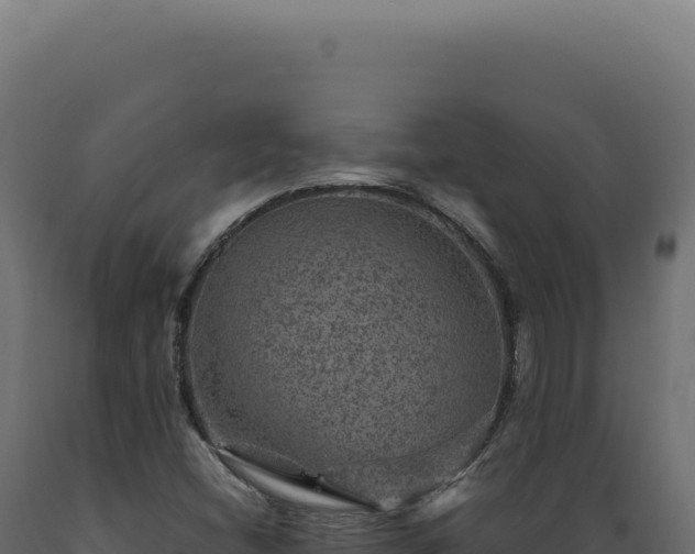 X0000089971404200707061151