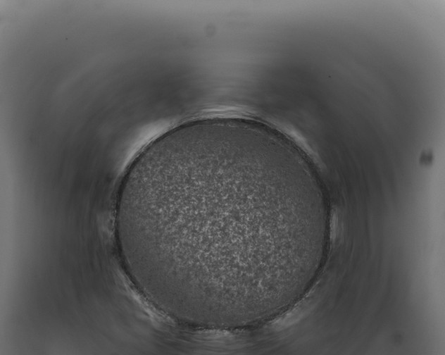 X0000089971405200707061151