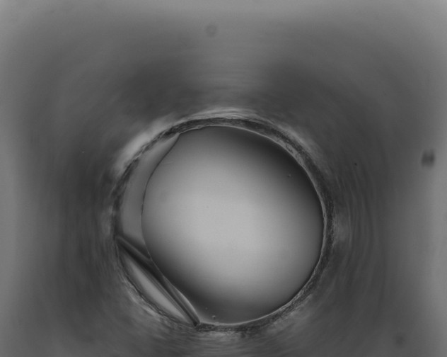 X0000089971406200707061151