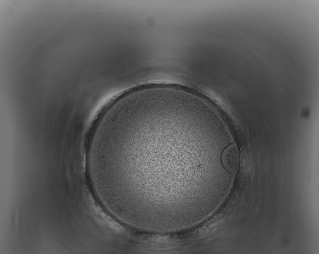 X0000089971408200707061151