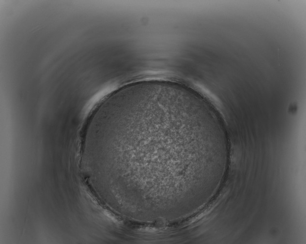 X0000089971411200707061151