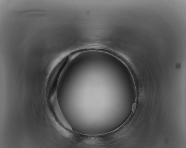 X0000089971414200707061151