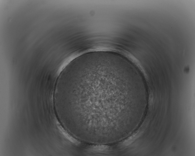 X0000089971417200707061151