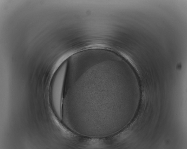 X0000089971418200707061151