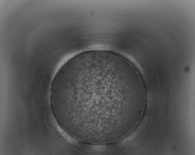 X0000089971421200707061151