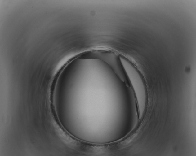 X0000089971422200707061151