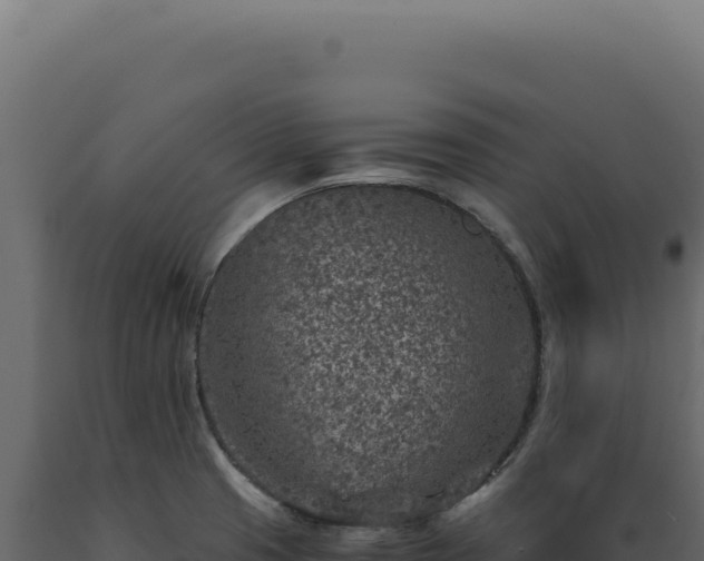 X0000089971425200707061151