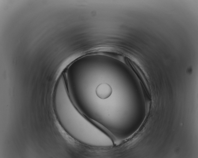 X0000089971426200707061151