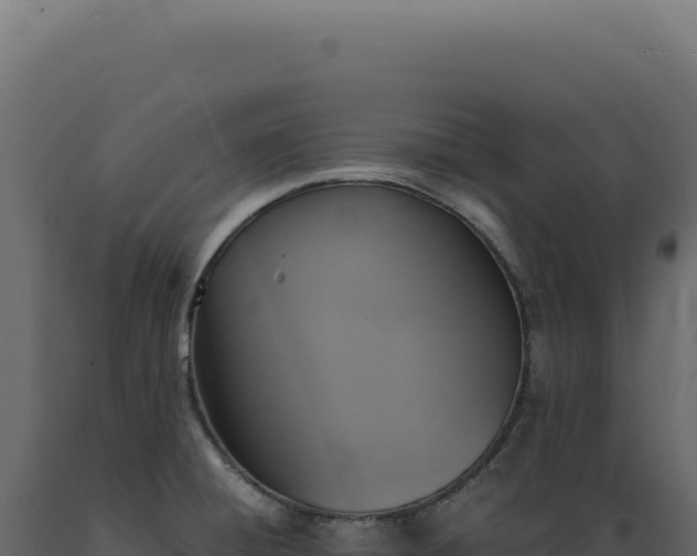 X0000089971428200707061151