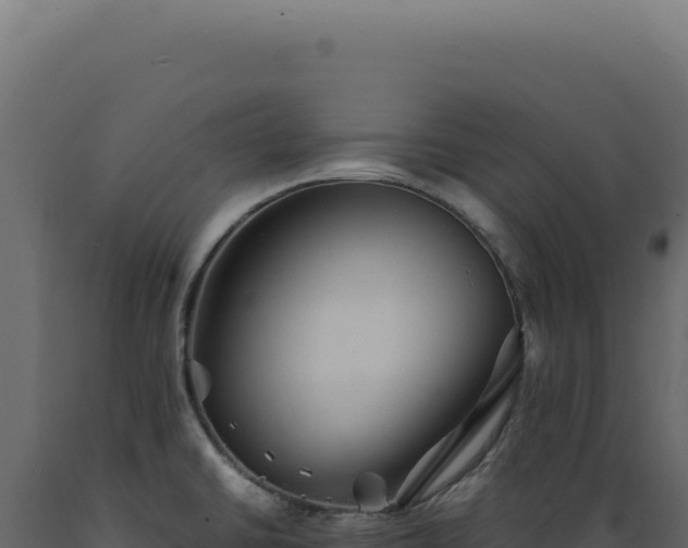 X0000089971430200707061151