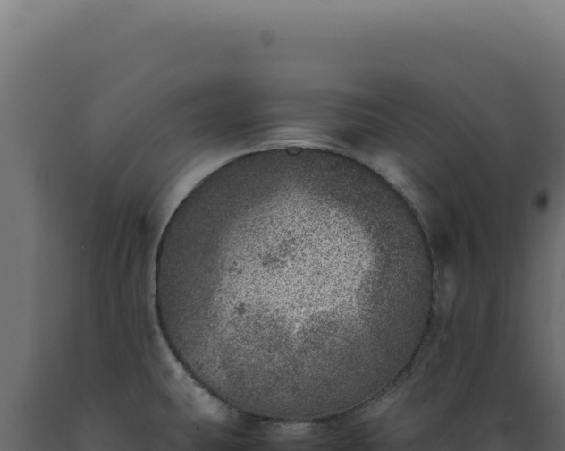 X0000089971431200707061151