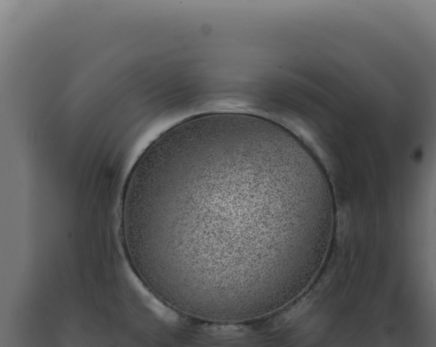 X0000089971432200707061151