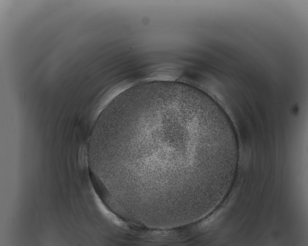 X0000089971433200707061151