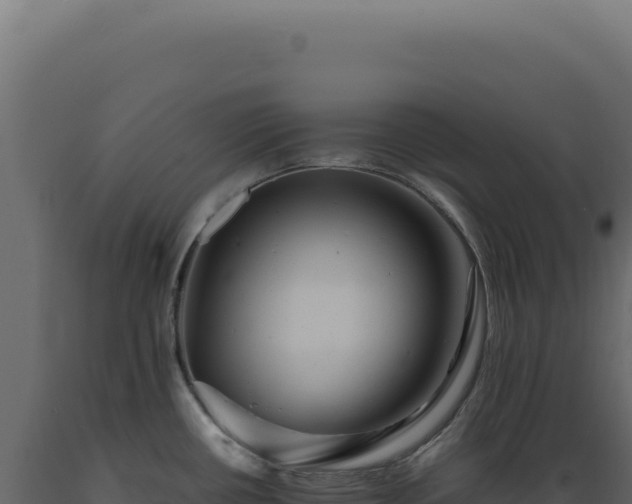 X0000089971434200707061151