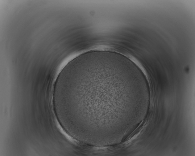 X0000089971437200707061151