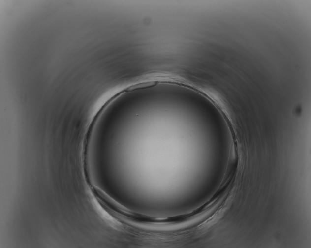 X0000089971438200707061151