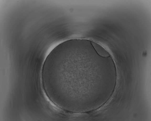 X0000089971440200707061151