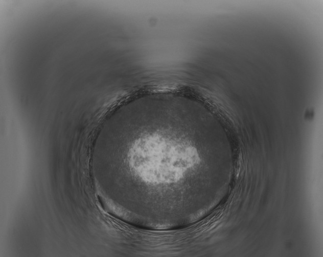 X0000089971441200707061150