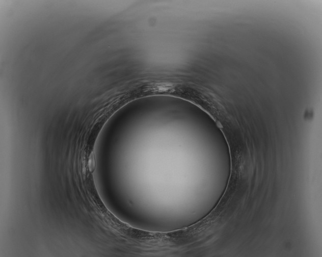 X0000089971442200707061150