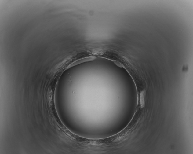 X0000089971443200707061150
