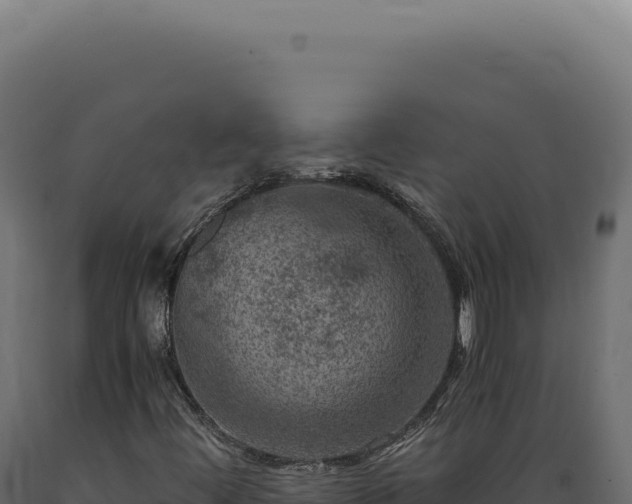 X0000089971444200707061150