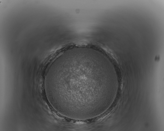 X0000089971445200707061150