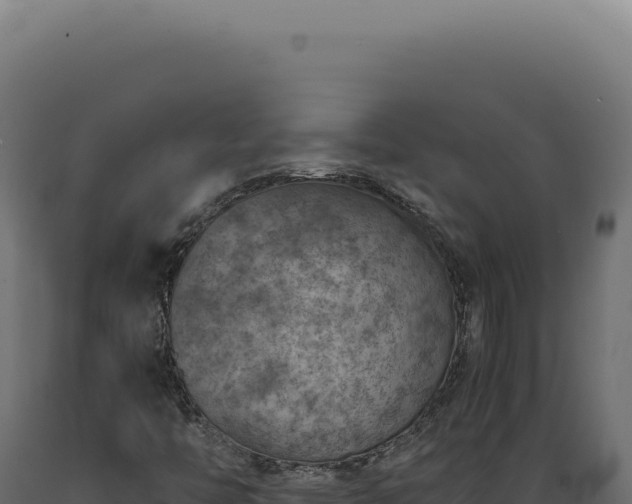 X0000089971446200707061150