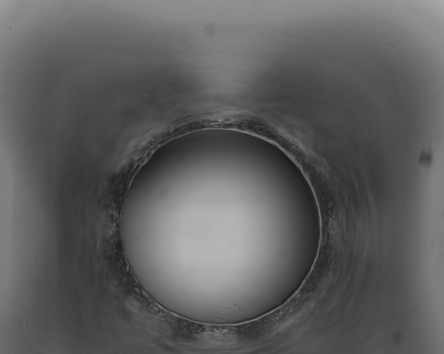 X0000089971447200707061150