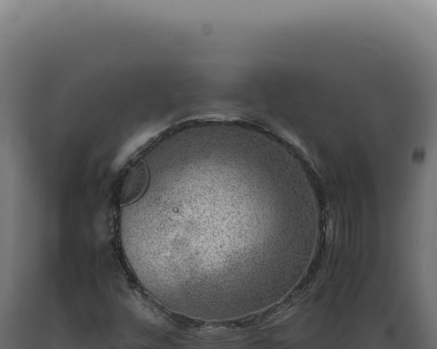 X0000089971448200707061150