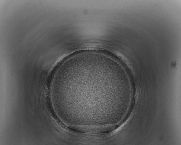 X0000089971449200707061150