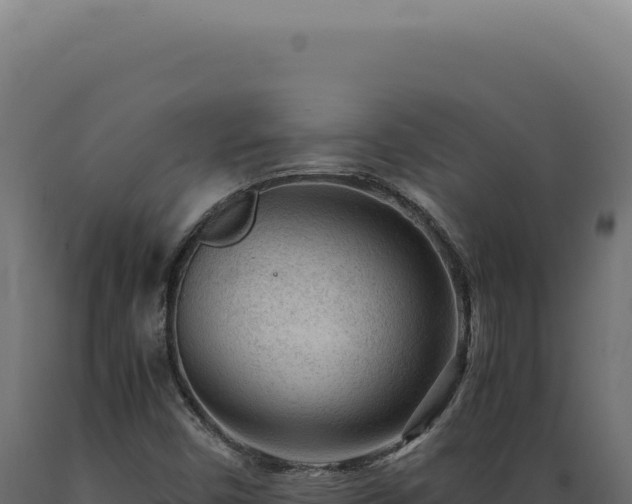 X0000089971450200707061150