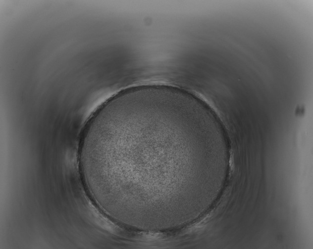 X0000089971452200707061150