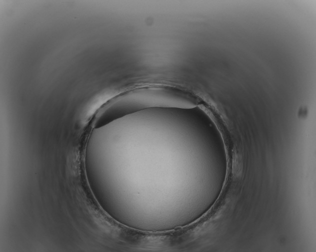 X0000089971453200707061150