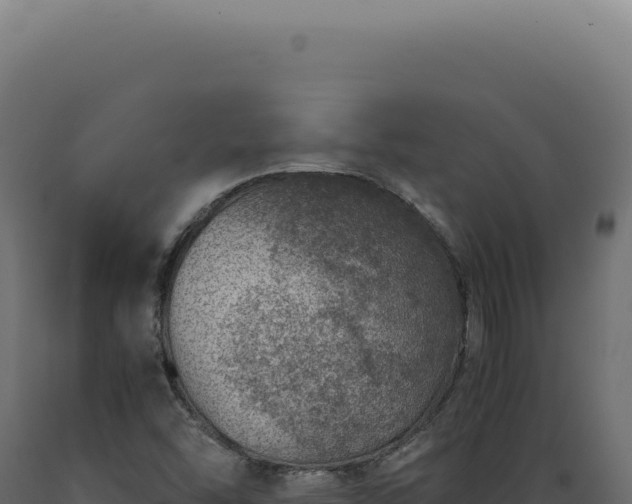 X0000089971454200707061150